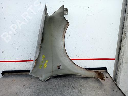 Left front fenders HYUNDAI GETZ (TB) 1.1 | BP20332266C41 
