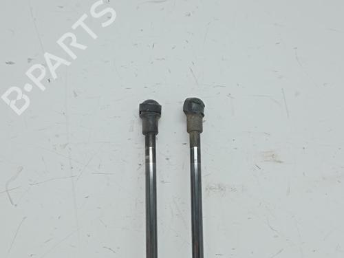 Tailgate lift support NISSAN QASHQAI I (J10, NJ10) 2.0 | BP15931610C138 