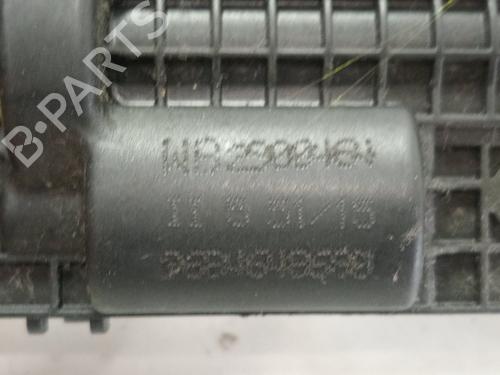 Tailgate lock CITROËN C3 II (SC_)  | BP29596854C101 