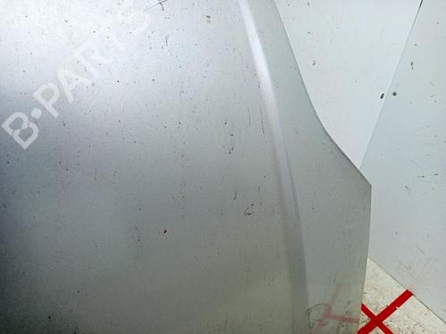 Hood FORD FIESTA V (JH_, JD_)  | BP24174821C1 