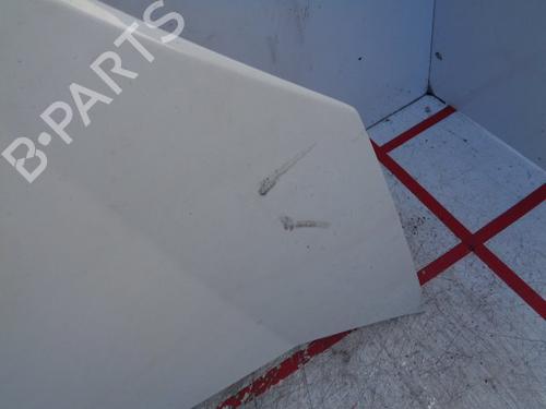 Hood FIAT FIORINO Box Body/MPV (225_)  | BP15949396C1 