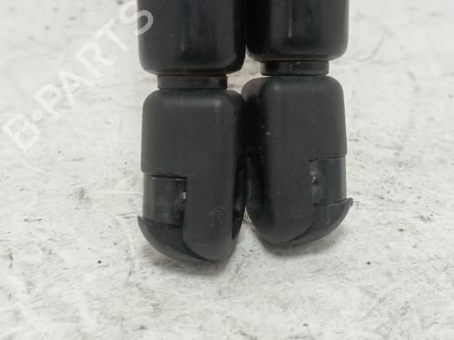 Tailgate lift support SKODA FABIA I (6Y2)  | BP17480079C138 
