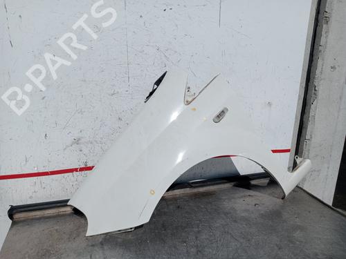 Left front fenders FIAT GRANDE PUNTO (199_) 1.2 | BP29211784C41 