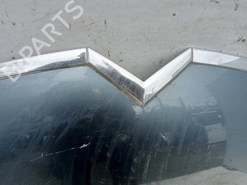 Hood CITROËN C4 Grand Picasso I (UA_) 1.6 HDi | BP22809728C1