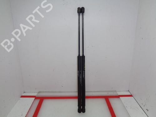 Used Tailgate lift support FIAT BRAVO II (198_) 1.9 D Multijet (198AXB1A) (120 hp) 15929351