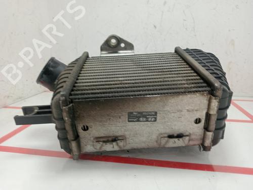 Intercooler HYUNDAI TUCSON (JM)  | BP23552009M30 