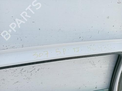 Left rear door PEUGEOT 307 (3A/C) 1.6 16V | BP16502290C4 