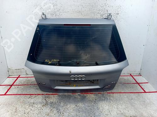Coffre AUDI A3 (8P1) 1.9 TDI (105 hp) 29161338