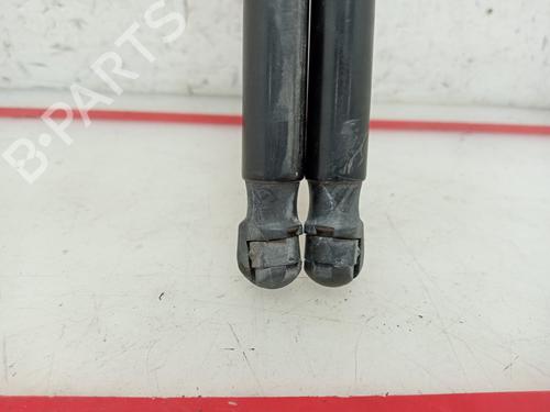 Tailgate lift support CITROËN C4 Picasso I MPV (UD_) 1.6 HDi 110 | BP21763060C138 