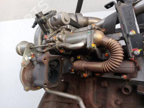 Engine RENAULT CLIO III (BR0/1, CR0/1)  | BP29565783M1 