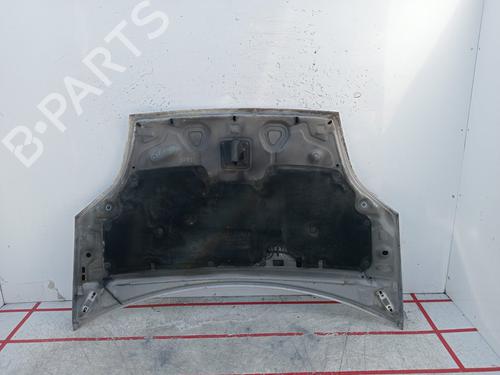 Hood FORD FIESTA V (JH_, JD_)  | BP16173499C1 