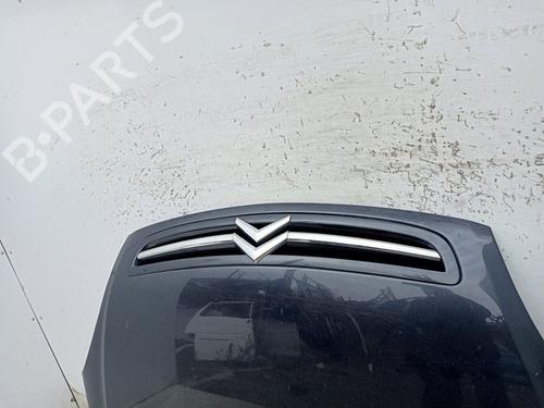 Hood CITROËN XSARA PICASSO (N68) 1.6 HDi | BP22380765C1 