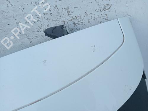 Tailgate RENAULT MEGANE III Coupe (DZ0/1_) 1.6 16V (DZ0U, DZ1B, DZ1H) | BP28124104C6 