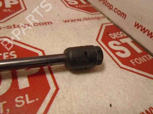 Hood lift support SEAT LEON (1M1)  | BP15922465C139 