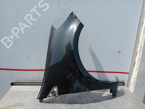 Used Right front fenders RENAULT CLIO III (BR0/1, CR0/1) [2005-2014]  25793643