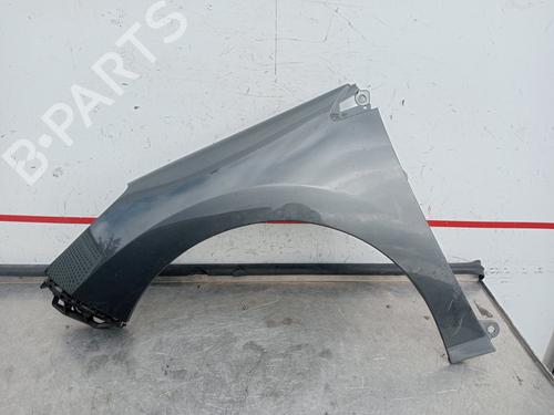 Left front fenders PEUGEOT 308 I (4A_, 4C_)  | BP19535284C41 