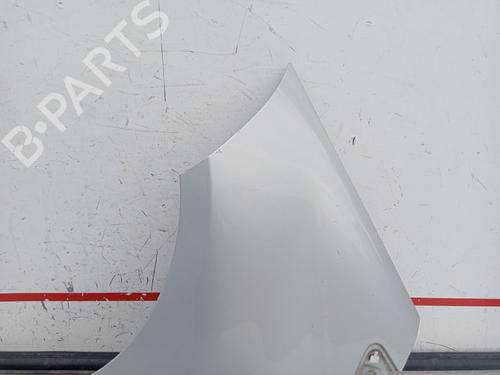 Left front fenders MERCEDES-BENZ A-CLASS (W169) A 180 CDI (169.007, 169.307) | BP15950841C41 