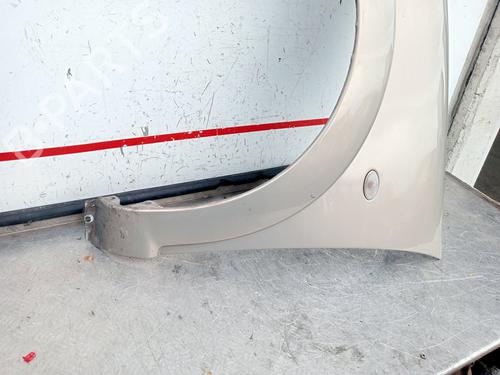 Left front fenders CITROËN C3 I (FC_, FN_) 1.4 i Bivalent | BP20303421C41 