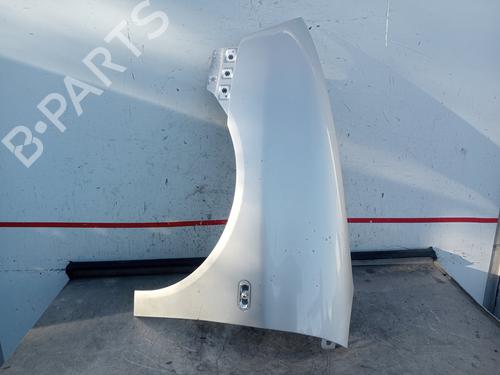 Used Left front fenders SEAT IBIZA III (6L1) [2002-2009]  29861809
