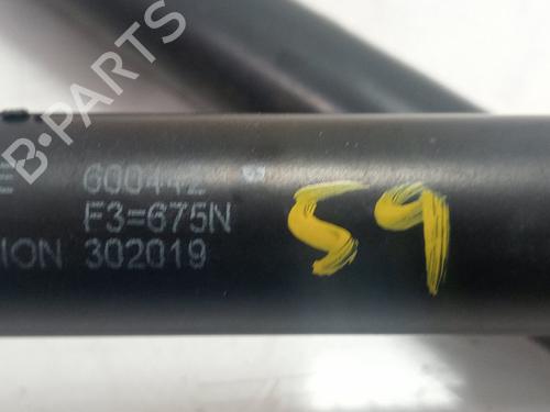 Tailgate lift support CITROËN C4 Grand Picasso I (UA_)  | BP29140388C138
