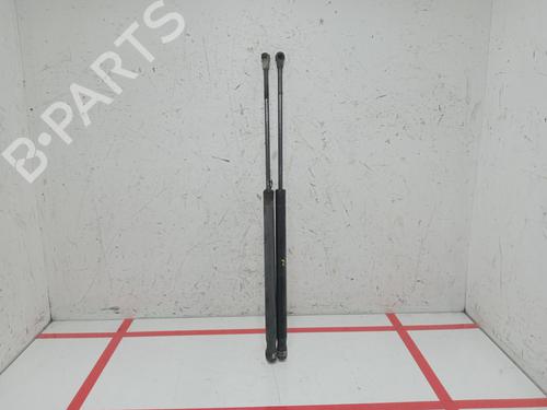 Gasdæmper bagklap SEAT IBIZA III (6L1) [2002-2009]  24926521