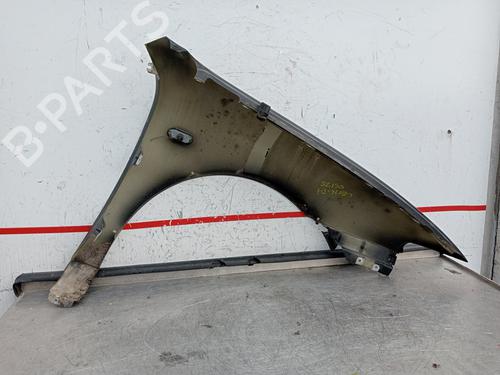 Left front fenders SEAT LEON (1M1)  | BP24201647C41 