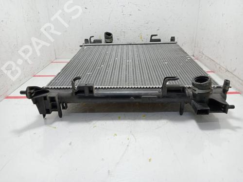 Water radiator NISSAN QASHQAI II (J11, J11_)  | BP24404640M31 