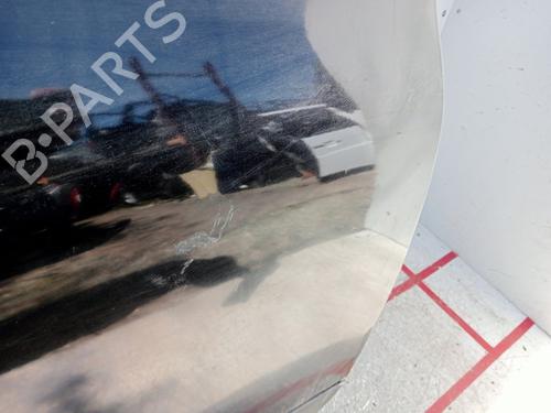 Right front door NISSAN QASHQAI / QASHQAI +2 I (J10, NJ10, JJ10E)  | BP22902285C3 