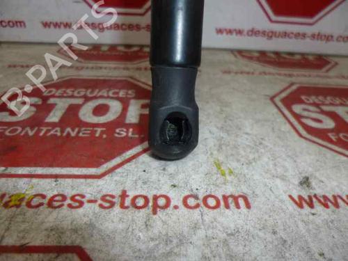 Hood lift support VW CADDY III Box Body/MPV (2KA, 2KH, 2CA, 2CH) 2.0 SDI | BP15920675C139 