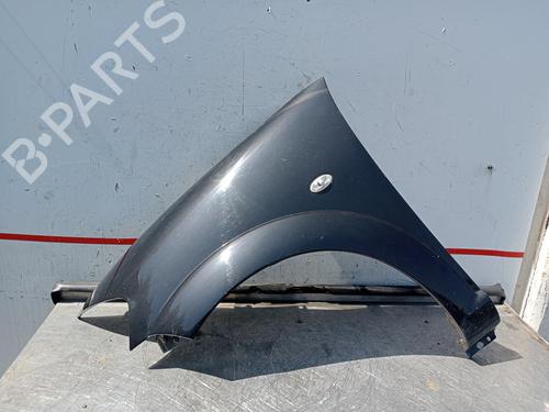 Left front fenders CITROËN C3 I (FC_, FN_) 1.1 i | BP26122360C41 