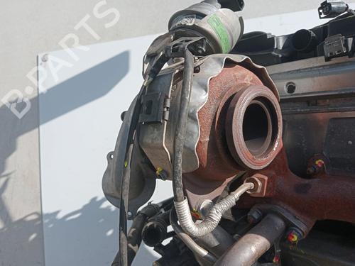 Engine SEAT LEON (1P1)  | BP34239149M1  - Image 5