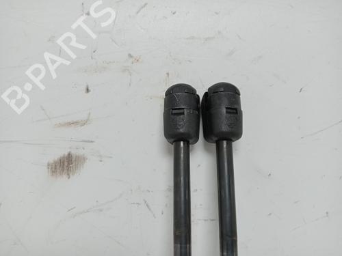 Tailgate lift support LAND ROVER RANGE ROVER SPORT I (L320) 2.7 D 4x4 | BP15948850C138 