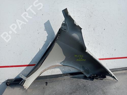 Left front fenders RENAULT MEGANE III Hatchback (BZ0/1_, B3_) 1.5 dCi | BP28078823C41 