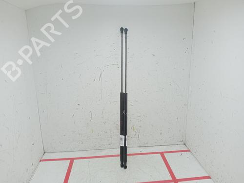 tailgate-lift-support-nissan-juke-f15-2010-2011-2012-2013-2014-2015-2016-2017-2018-2019-29043036 main image