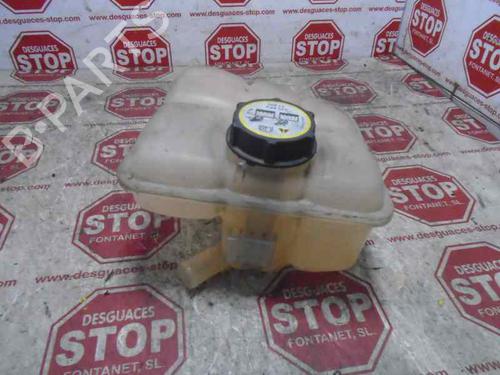 Expansion tank FORD FOCUS C-MAX (DM2)  | BP15951168C120 
