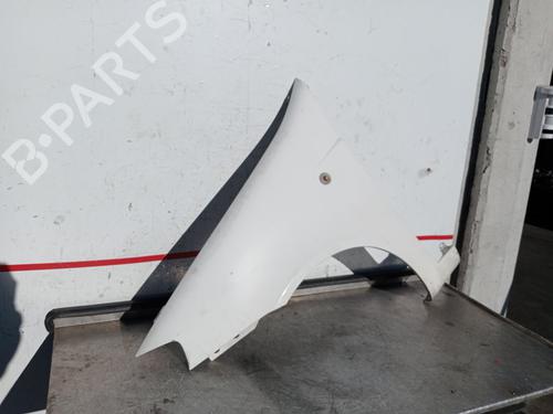 Left front fenders FIAT PUNTO (188_) 1.3 JTD 16V | BP22699636C41 