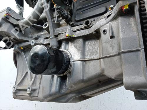 Engine HONDA JAZZ III (GE_, GG_, GP_, ZA_)  | BP29533856M1 