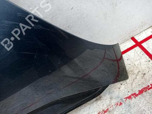 Hood CITROËN C4 Grand Picasso I (UA_) 1.6 HDi | BP22809728C1