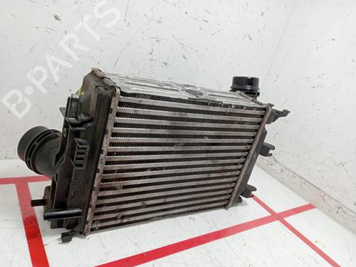 Intercooler NISSAN QASHQAI II (J11, J11_)  | BP24404644M30 