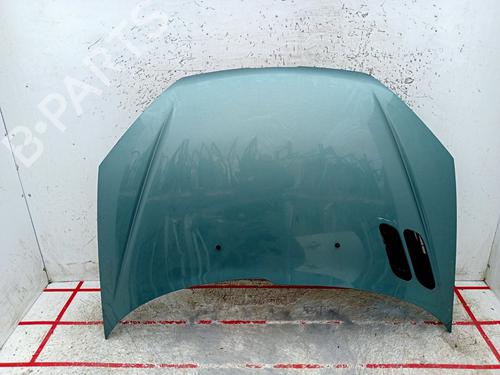 Used Hood PEUGEOT 206 Hatchback (2A/C) 1.4 LPG (75 hp) 31309770