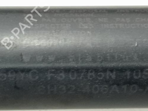 Tailgate lift support LAND ROVER RANGE ROVER SPORT I (L320) 2.7 D 4x4 | BP15948845C138 