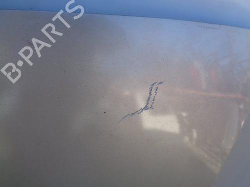 Hood RENAULT MEGANE II (BM0/1_, CM0/1_) 1.5 dCi (BM1F, CM1F) | BP15931118C1 