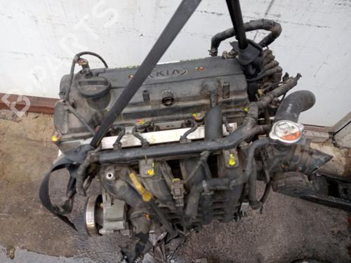 Engine KIA RIO III (UB) 1.2 CVVT | BP31128888M1 