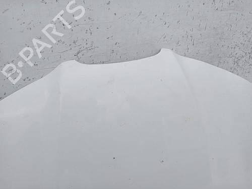 Hood SEAT IBIZA III (6L1)  | BP29117519C1 