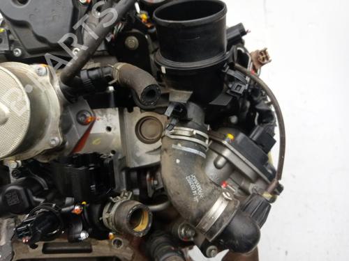 Engine NISSAN JUKE (F15)  | BP29204386M1