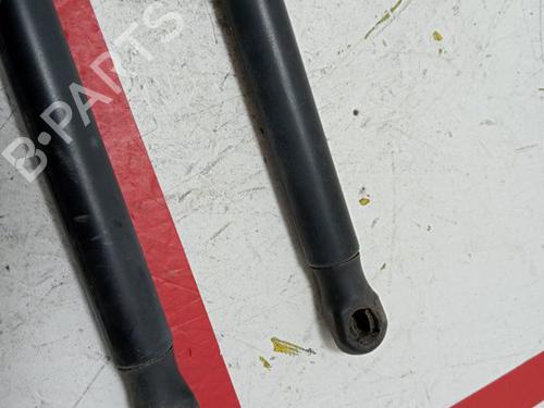 Tailgate lift support SEAT IBIZA III (6L1)  | BP15951316C138 