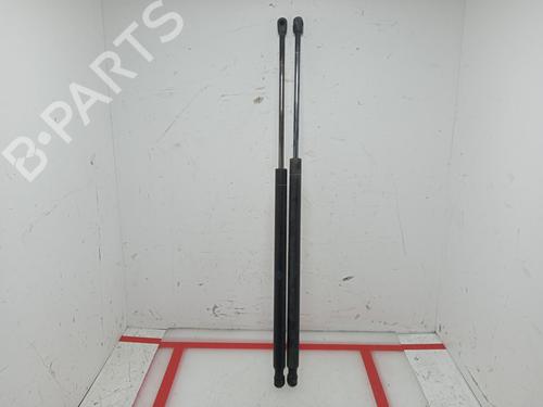 Used Tailgate lift support LAND ROVER RANGE ROVER SPORT I (L320) 2.7 D 4x4 (190 hp) 15948845