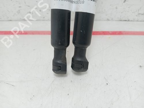 Tailgate lift support DACIA SANDERO II | BP33983111C138 - Image 4