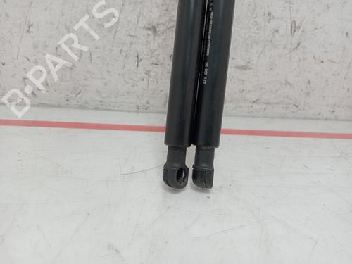 Tailgate lift support CHEVROLET CAPTIVA (C100, C140) 2.0 D | BP28837703C138 