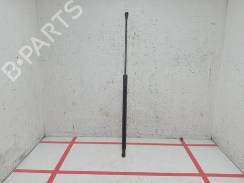Used Hood lift support DACIA DUSTER (HS_) [2010-2018]  29826094